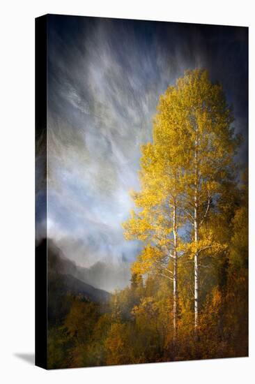 Fall Fantasy 2-Ursula Abresch-Stretched Canvas