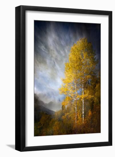 Fall Fantasy 2-Ursula Abresch-Framed Premium Photographic Print