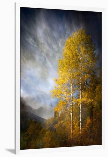 Fall Fantasy 2-Ursula Abresch-Framed Photographic Print