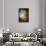 Fall Fantasy 2-Ursula Abresch-Framed Photographic Print displayed on a wall