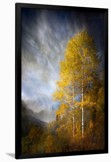 Fall Fantasy 2-Ursula Abresch-Framed Photographic Print