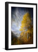 Fall Fantasy 2-Ursula Abresch-Framed Photographic Print