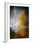 Fall Fantasy 2-Ursula Abresch-Framed Photographic Print