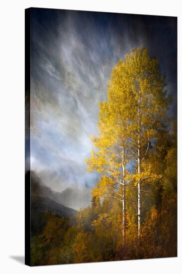 Fall Fantasy 2-Ursula Abresch-Stretched Canvas