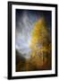 Fall Fantasy 2-Ursula Abresch-Framed Premium Photographic Print