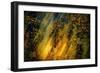 Fall Fantasy 2-Ursula Abresch-Framed Photographic Print