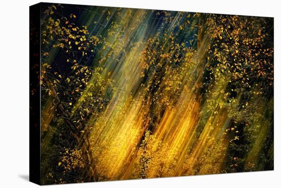 Fall Fantasy 2-Ursula Abresch-Stretched Canvas