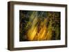 Fall Fantasy 2-Ursula Abresch-Framed Photographic Print