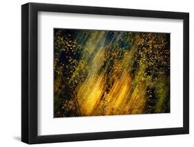 Fall Fantasy 2-Ursula Abresch-Framed Photographic Print