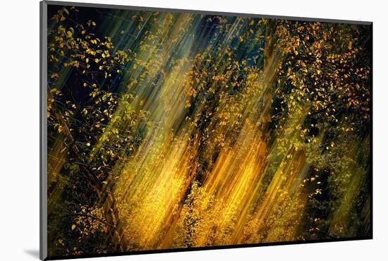 Fall Fantasy 2-Ursula Abresch-Mounted Photographic Print