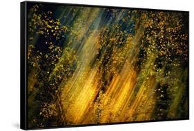 Fall Fantasy 2-Ursula Abresch-Framed Stretched Canvas