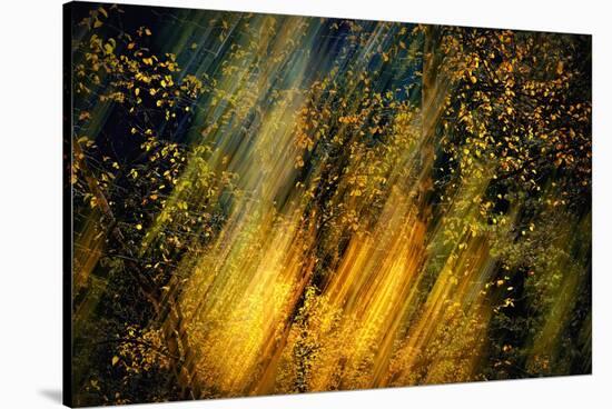 Fall Fantasy 2-Ursula Abresch-Stretched Canvas