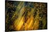 Fall Fantasy 2-Ursula Abresch-Stretched Canvas