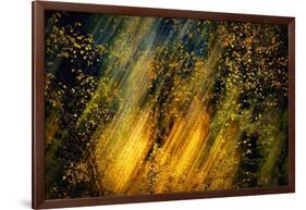 Fall Fantasy 2-Ursula Abresch-Framed Photographic Print