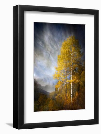 Fall Fantasy 2-Ursula Abresch-Framed Photographic Print