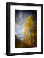 Fall Fantasy 2-Ursula Abresch-Framed Photographic Print