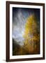 Fall Fantasy 2-Ursula Abresch-Framed Photographic Print