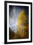 Fall Fantasy 2-Ursula Abresch-Framed Photographic Print