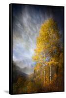 Fall Fantasy 2-Ursula Abresch-Framed Stretched Canvas