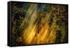 Fall Fantasy 2-Ursula Abresch-Framed Stretched Canvas