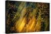 Fall Fantasy 2-Ursula Abresch-Stretched Canvas