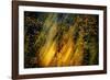 Fall Fantasy 2-Ursula Abresch-Framed Photographic Print