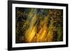 Fall Fantasy 2-Ursula Abresch-Framed Photographic Print