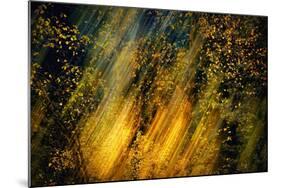 Fall Fantasy 2-Ursula Abresch-Mounted Photographic Print