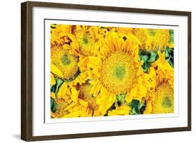 Fall Feels I-Donnie Quillen-Framed Art Print