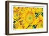 Fall Feels I-Donnie Quillen-Framed Premium Giclee Print