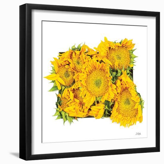 Fall Feels II-Donnie Quillen-Framed Art Print