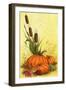 Fall Festivities-Beverly Johnston-Framed Giclee Print