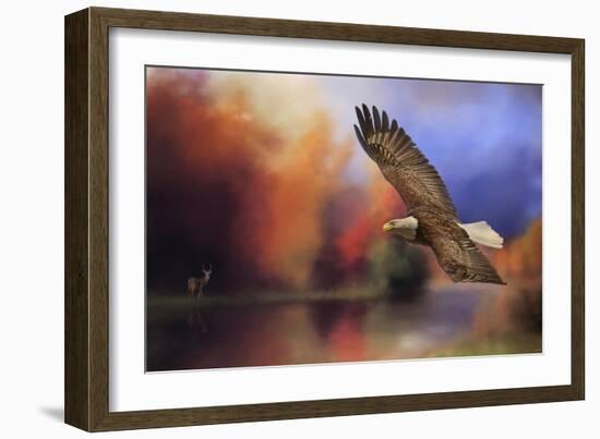 Fall Flight Bald Eagle-Jai Johnson-Framed Premium Giclee Print