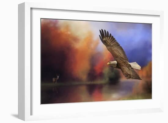 Fall Flight Bald Eagle-Jai Johnson-Framed Premium Giclee Print