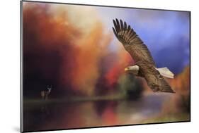 Fall Flight Bald Eagle-Jai Johnson-Mounted Premium Giclee Print