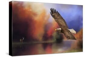 Fall Flight Bald Eagle-Jai Johnson-Stretched Canvas