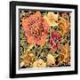 Fall Flowers II-Julie Goonan-Framed Giclee Print