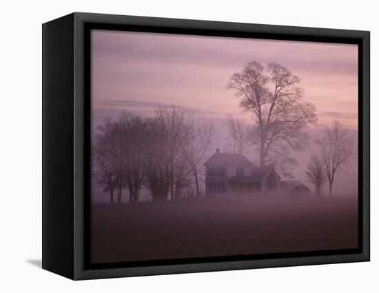 Fall Fog on Suffolk Virginia Farm-Karen Kasmauski-Framed Stretched Canvas