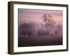 Fall Fog on Suffolk Virginia Farm-Karen Kasmauski-Framed Premium Photographic Print