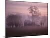 Fall Fog on Suffolk Virginia Farm-Karen Kasmauski-Mounted Premium Photographic Print