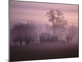 Fall Fog on Suffolk Virginia Farm-Karen Kasmauski-Mounted Premium Photographic Print