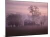 Fall Fog on Suffolk Virginia Farm-Karen Kasmauski-Mounted Photographic Print