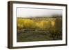 FALL & FOG-SALLY LINDEN-Framed Photographic Print