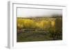 FALL & FOG-SALLY LINDEN-Framed Photographic Print