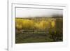 FALL & FOG-SALLY LINDEN-Framed Photographic Print