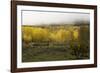 FALL & FOG-SALLY LINDEN-Framed Photographic Print