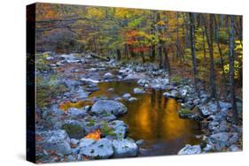 Fall Foliage Along Little River, Smoky Mountains NP, Tennessee, USA-Joanne Wells-Stretched Canvas