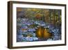 Fall Foliage Along Little River, Smoky Mountains NP, Tennessee, USA-Joanne Wells-Framed Photographic Print