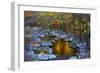 Fall Foliage Along Little River, Smoky Mountains NP, Tennessee, USA-Joanne Wells-Framed Photographic Print