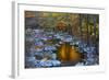 Fall Foliage Along Little River, Smoky Mountains NP, Tennessee, USA-Joanne Wells-Framed Photographic Print